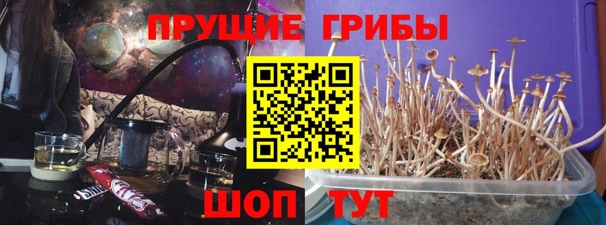 Крымск  Галлюциногенные грибы Magic Shrooms  Вход с VPN 